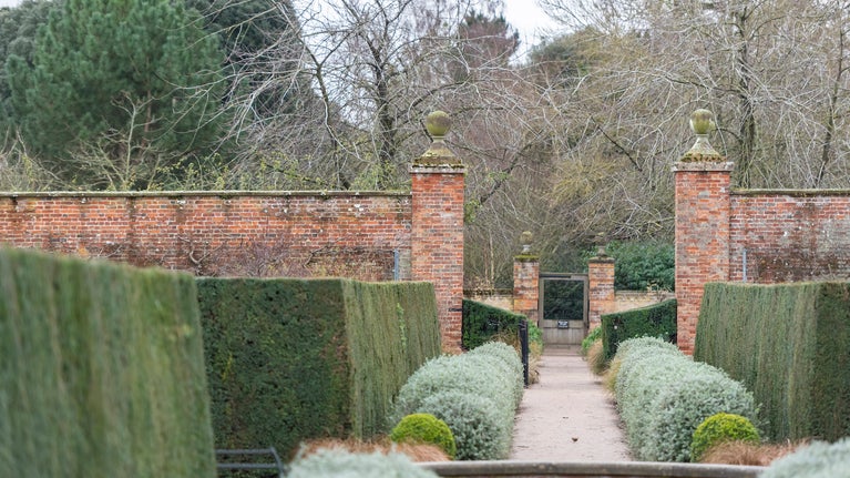 Frosty hedges in the Walled Garden in January at Wimpole Estate, Cambridgeshire